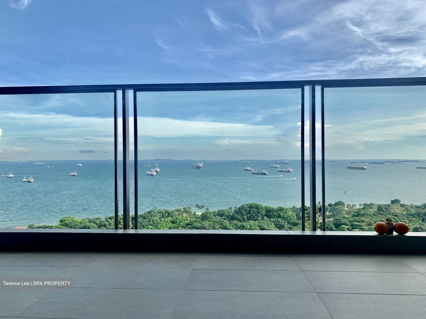 Seaside Residences (D15), Apartment #381972741